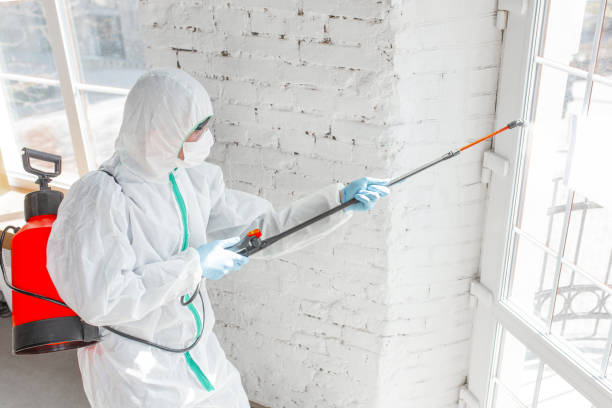 Why You Should Choose Our Mold Remediation Services in Darnestown, MD